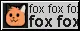 fox fox fox fox fox